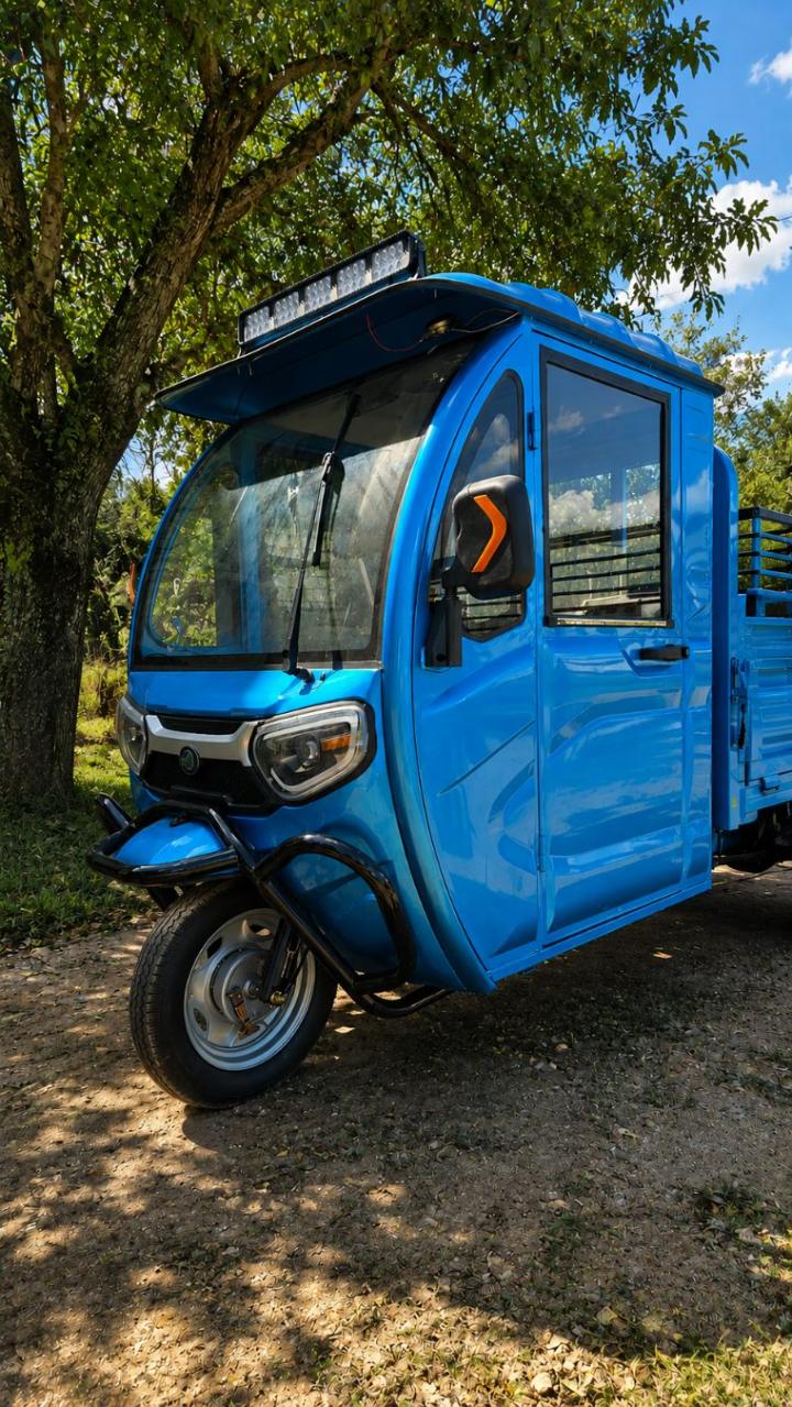 Tricargo